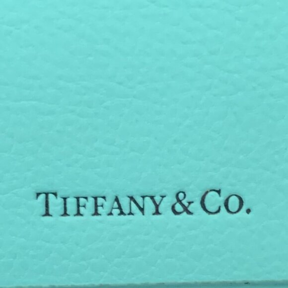 Tiffany & Co Eyeglass Sunglasses Case Magnetic Closure with Microfiber Cloth - Picture 2 of 8